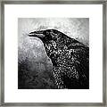 Raven Spirit Framed Print