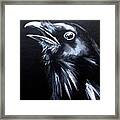 Raven Warning Framed Print