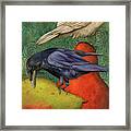 Ravens On Pears Framed Print