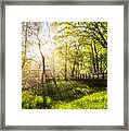 Rays Over The River Walk Framed Print