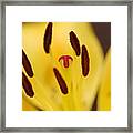 Reaching Framed Print