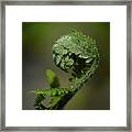 Reaching Out Framed Print