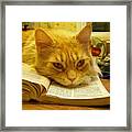 Read Me A Story... Framed Print