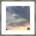 Ready To Fly Framed Print
