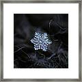 Real Snowflake - 2017-12-07 1 Framed Print