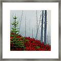 Recovery And Time Framed Print