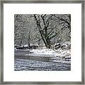 Red Alder And Youngs River Framed Print