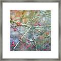 Red Berries 7952 Idp_2 Framed Print