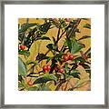 Red Berry Framed Print