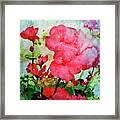 Red Framed Print