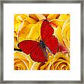 Red Butterfly With Yellow Roses Framed Print