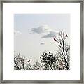 Red Cardinals Framed Print