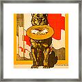 Red Cross Dog Framed Print