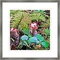 Red-dotted Mushroom Framed Print