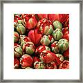 Red Elegant Blooming Tulips Framed Print