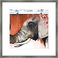 Red Elephant Framed Print