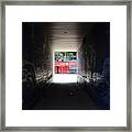 Red Eye Framed Print