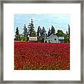 Red Field Barn Framed Print