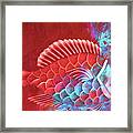 Red Fish Into The Blue Framed Print