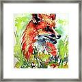 Red Fox Relax Framed Print