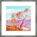 Red Glow Beach Tree Framed Print
