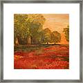 Red Glow In The Meadow Framed Print