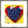 Red Heart Plate With Blueberries Framed Print