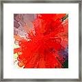 Red Lace Framed Print