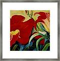 Red Lily Framed Print