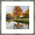 Red Maple Tree Reflection At Sunrise Framed Print