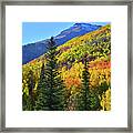Red Mountain Pass Fall Color Framed Print