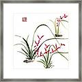 Red Orchids Framed Print