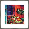 Red Patio Framed Print