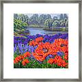 Red Poppies 2 Framed Print