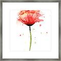 Red Poppy Watercolor Framed Print