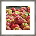 Red Ripe Apples Framed Print