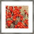 Red Rock Flowers Framed Print