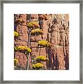 Red Rocks And Century Plant Framed Print