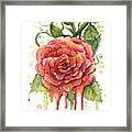 Red Rose Dripping Watercolor Framed Print