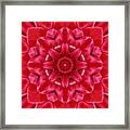 Red Rose Kaleidoscope Framed Print