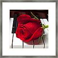 Red Rose On Piano Keys Framed Print