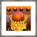 Red Spheres Framed Print