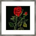 Red Tango Rose Bud Framed Print