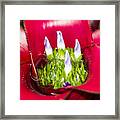 Red Tropical Plant Macro Framed Print