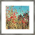 Red Trumpets Playing Framed Print