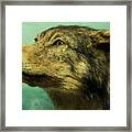 Red Wolf Digital Art Framed Print