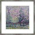 Redbuds And Tulips Framed Print