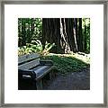 Redwood Bench Ii Framed Print
