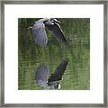 Reflecting On Flight Framed Print