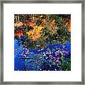 Reflection Of Autumn Framed Print